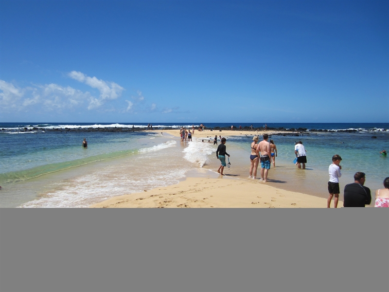 Poipu Beach, Kauai Get the Scoop on Kauai Beaches