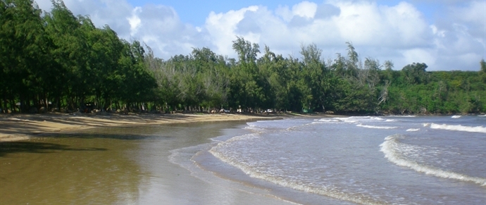 Hanamaulu Beach