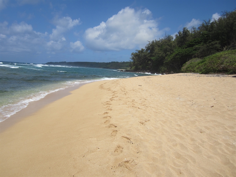 Waiakalua Beaches