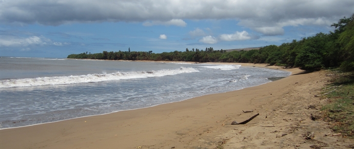 Pakala Beach