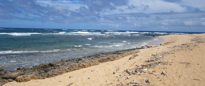Kawailoa Bay Beach